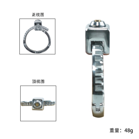 Wild Panther Chastity Lock - Image 4