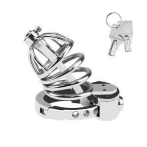 Fortress Lock Chastity Cage