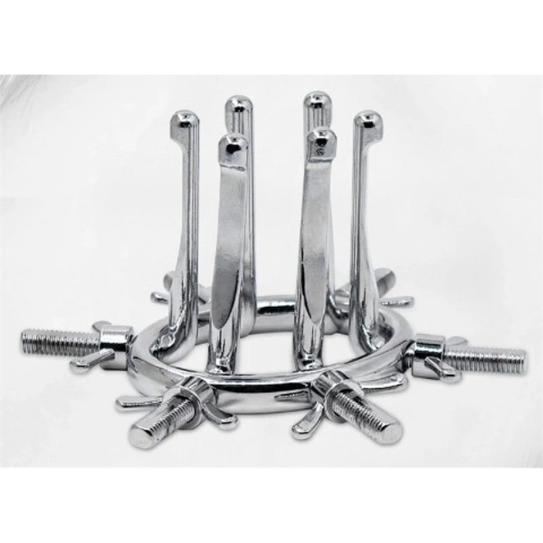 Vaginal and Anal Regulator