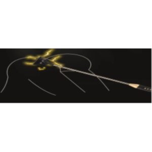 Passionate Electric Whip