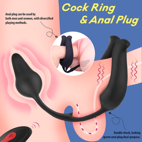 Ultimate Control Cock Ring Butt Plug Combo - Image 4