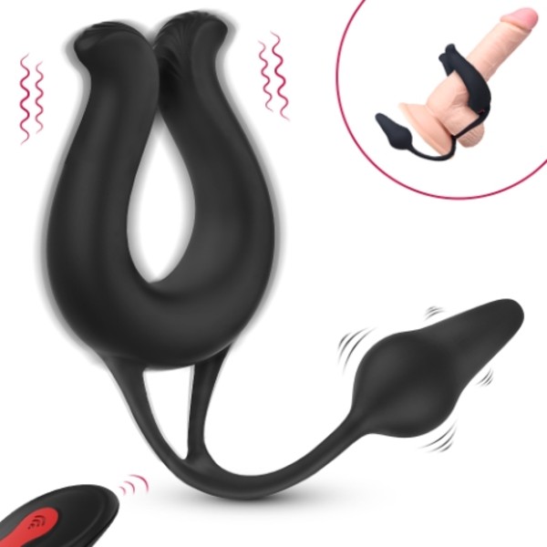 Ultimate Control Cock Ring Butt Plug Combo