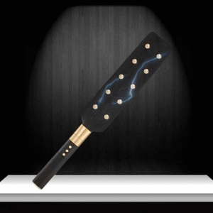Electric Spanking Paddle - Image 3